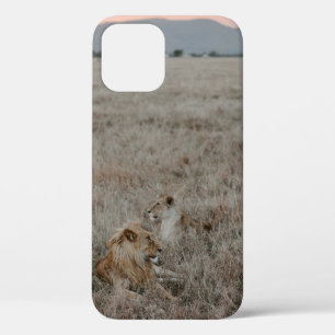 LION ON BROWN GRASS FIELD DURING DAYTIME iPhone 12 CASE