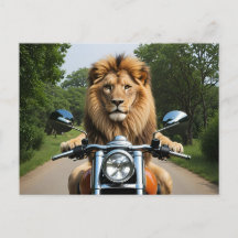 Lion on Motorbike