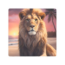 Lion on the beach