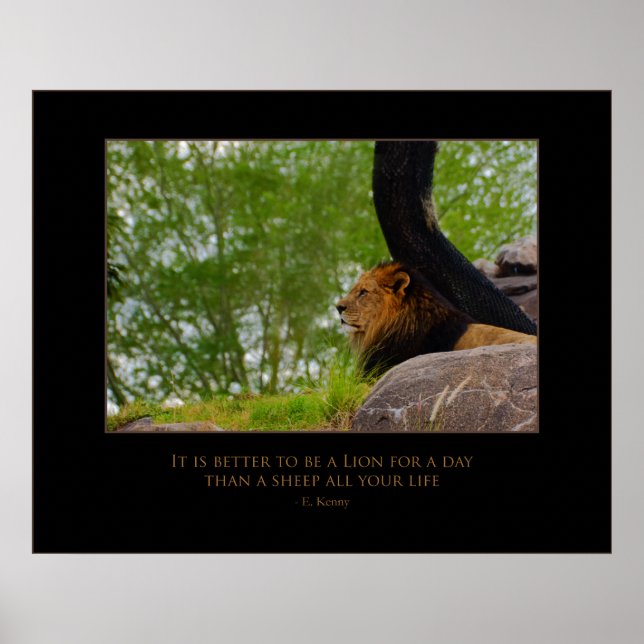 Lion on the Mount Poster (Front)