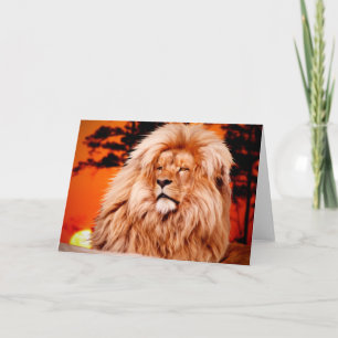 Lion Orange African Sky Photo Paint Card