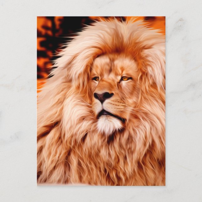 Lion Orange African Sky Photo Paint Postcard (Front)