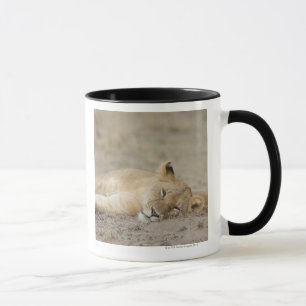 Lion (Panthera leo) cub resting, Masai Mara Game Mug