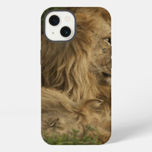 Lion, Panthera leo, Lower Mara, Masai Mara GR, iPhone 13 Case