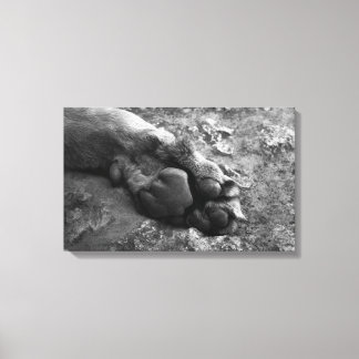 lion paw wall print canvas