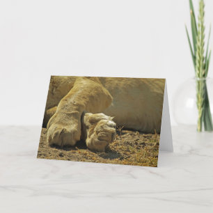 Lion Paws Card