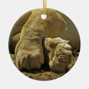 Lion Paws Ceramic Ornament