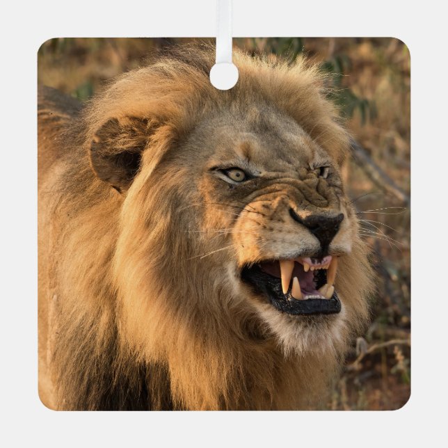 LION Personalize Name Photo Christmas Metal Ornament (Front)