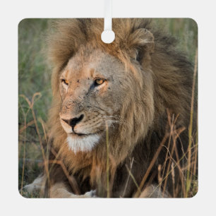 LION Personalize Name Photo Christmas Metal Ornament