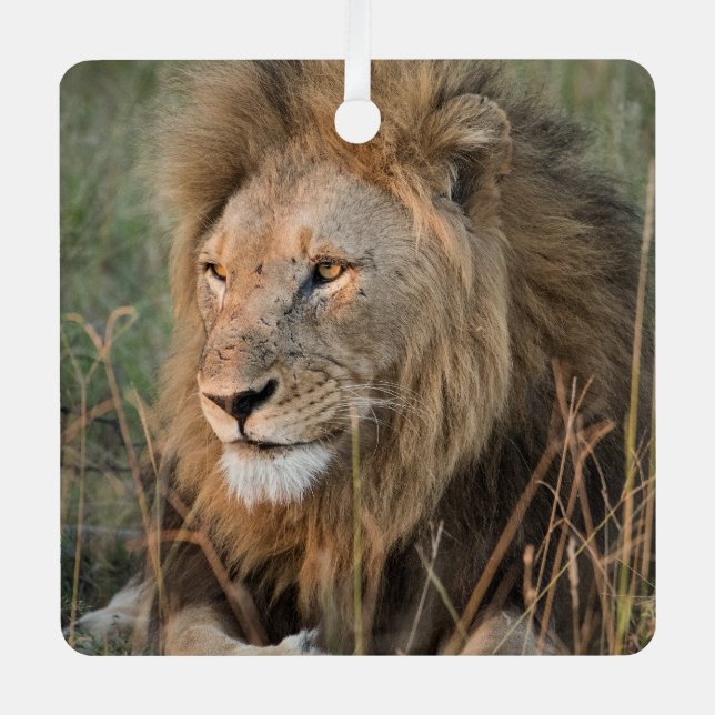 LION Personalize Name Photo Christmas Metal Ornament (Front)