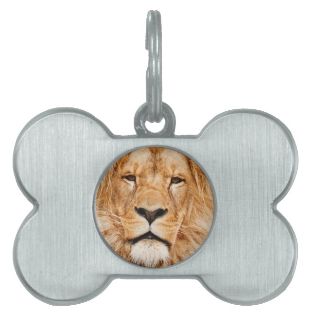 Lion Pet ID Tag (Front)