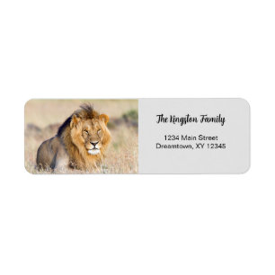 Lion photo personnalisée Adresse de retour Label