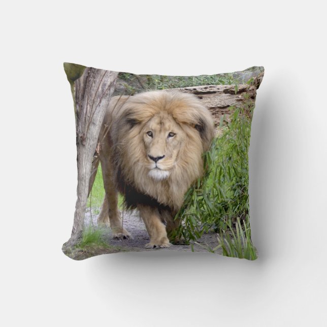 Lion Photo Print Throw Pillow (Front)