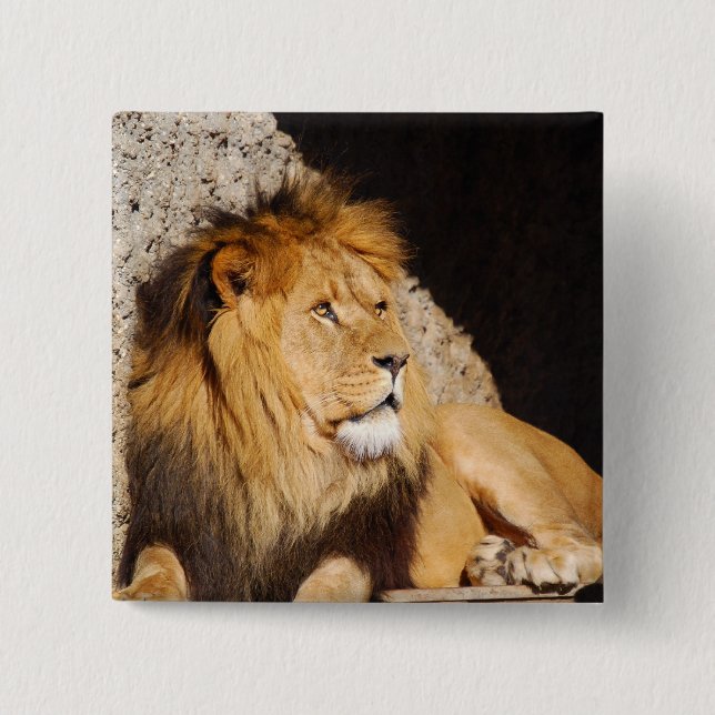 Lion Photo Square Pin (Front)