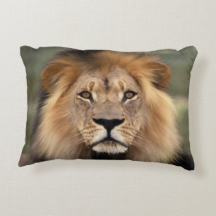 Lion Photograph Decorative Pillow