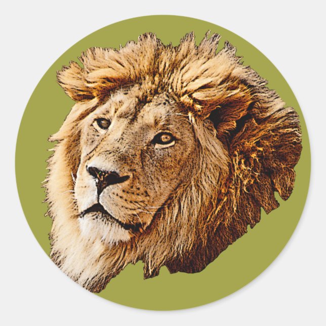 Lion Picture Classic Round Sticker (Front)