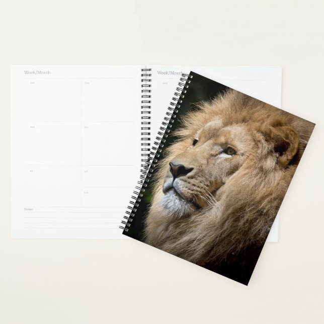 Lion Planner (Display)
