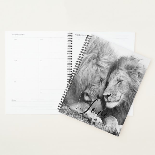 Lion Planner (Display)