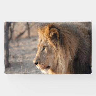 Lion Portrait Banner