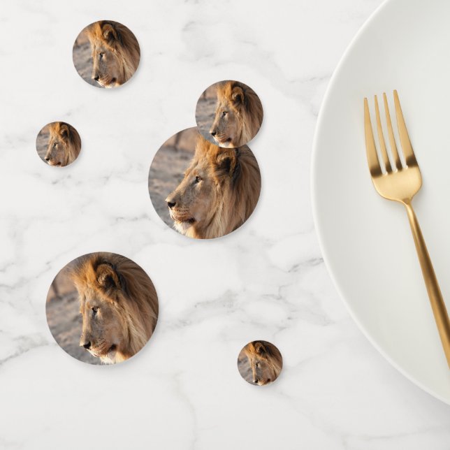 Lion Portrait Confetti (Group)