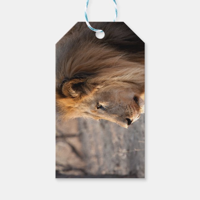 Lion Portrait Gift Tags (Front)