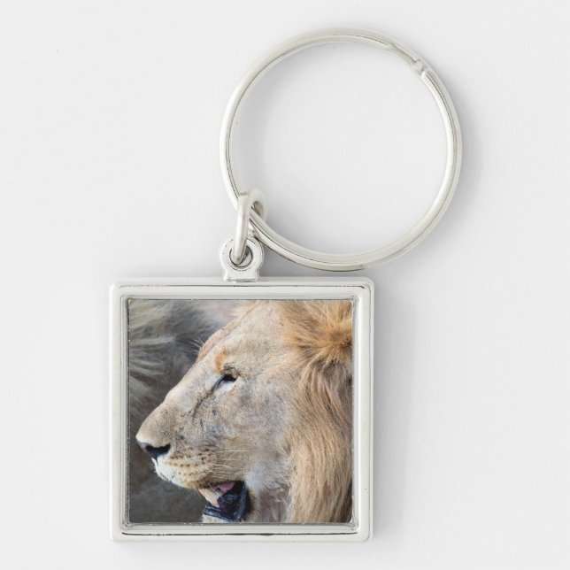 Lion Portrait Keychain (Front)
