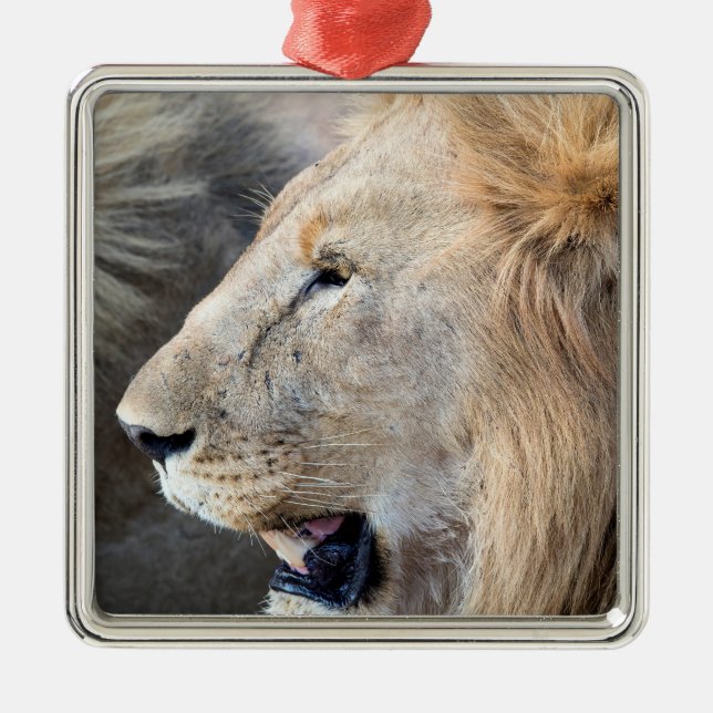 Lion Portrait Metal Ornament (Front)