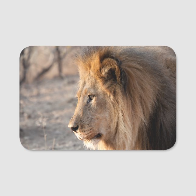 Lion Portrait Name Tag (Front)