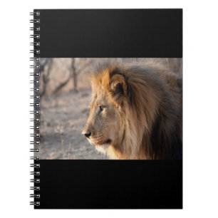 Lion Portrait Notebook