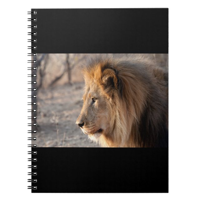 Lion Portrait Notebook (Front)