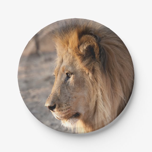 Lion Portrait Paper Plate (Front)