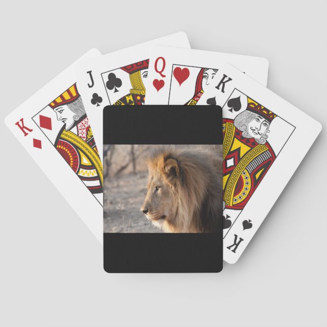 Lion Portrait Playing Cards (Back)