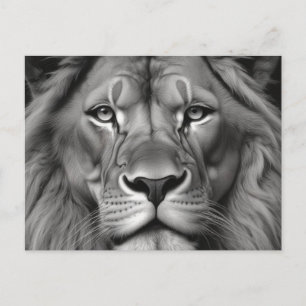Lion Postcard