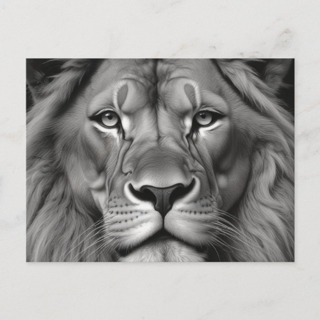 Lion Postcard (Front)