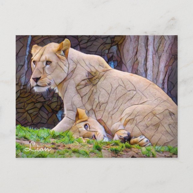 Lion [Postcard] Postcard (Front)
