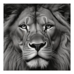 Lion Poster