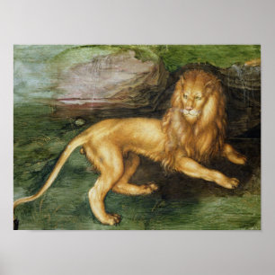 Lion Poster