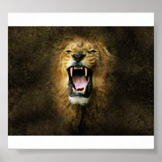 Lion Poster