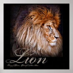 Lion [Poster] Poster