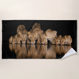 Lion Pride Drinks at the Water Hole at Night Beach Towel