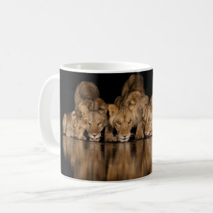 Lion Pride Drinks at the Water Hole at Night Coffee Mug