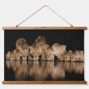 Lion Pride Drinks at the Water Hole at Night Hanging Tapestry