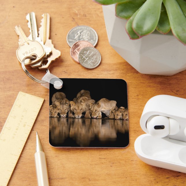 Lion Pride Drinks at the Water Hole at Night Keychain (Desk)
