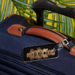 Lion Pride Drinks at the Water Hole at Night Luggage Tag<br><div class="desc">Africa,  East Africa,  Kenya,  Great Rift Valley,  Olkirimatian Conservancy,  lion,  Panthera leo.  A lion pride drinks at the water hole at night.</div>