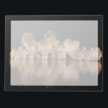 Lion Pride Drinks at the Water Hole at Night Notepad<br><div class="desc">Africa, East Africa, Kenya, Great Rift Valley, Olkirimatian Conservancy, lion, Panthera leo. A lion pride drinks at the water hole at night.</div>