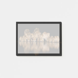 Lion Pride Drinks at the Water Hole at Night Post-it Notes