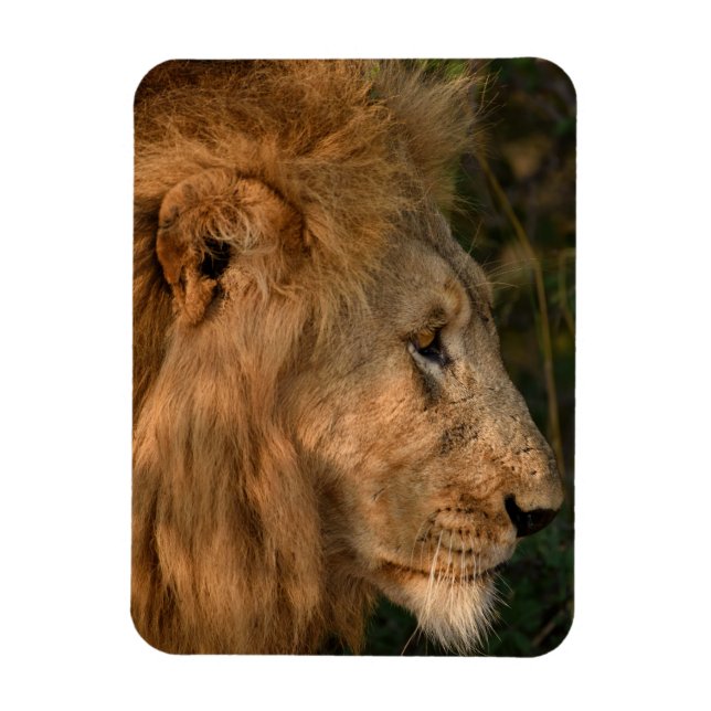 LION Refrigerator Magnet YOUR Photo Template (Vertical)