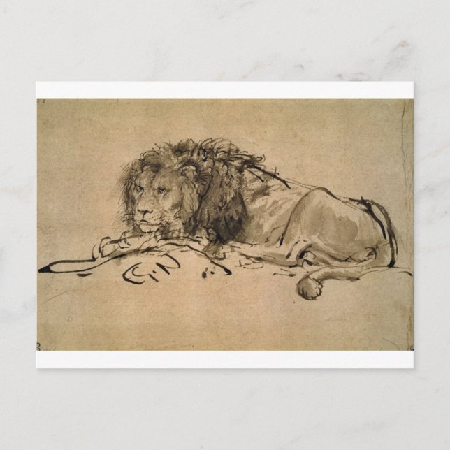 Lion Resting by Rembrandt Postcard (Front)