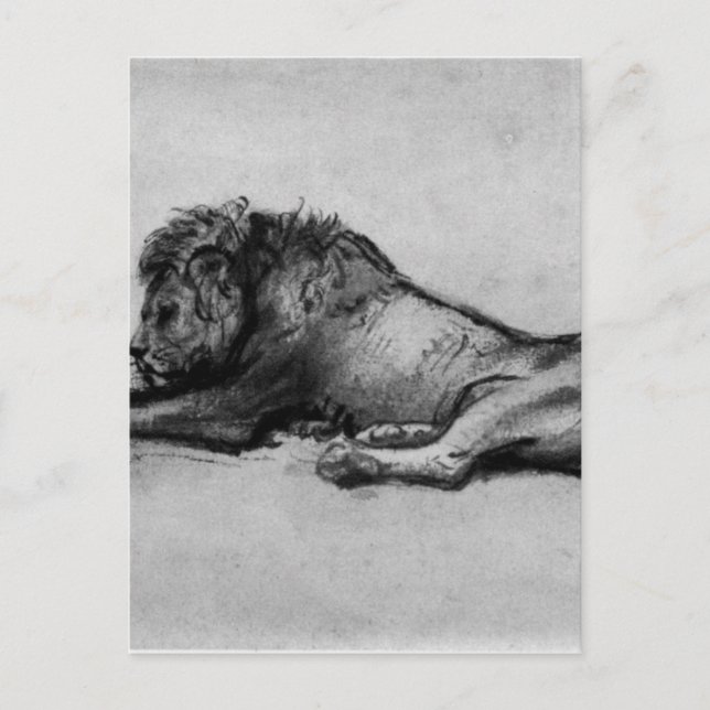 Lion resting by Rembrandt Postcard (Front)