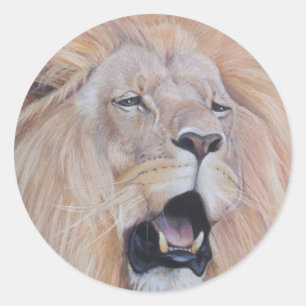 lion roaring big cat wildlife realist art classic round sticker